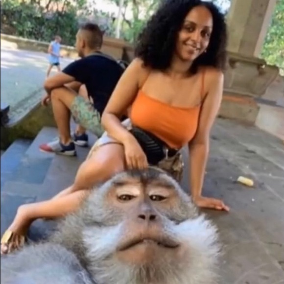 Meet your Posher, Franzia - Picture 1 of 1